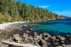 Sooke